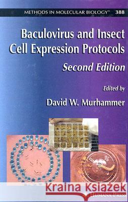 Baculovirus and Insect Cell Expression Protocols David W. Murhammer 9781588295378 Humana Press
