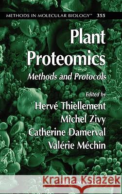 Plant Proteomics: Methods and Protocols Thiellement, Hervé 9781588296351 Humana Press