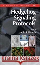 Hedgehog Signaling Protocols Jamila I. Horabin 9781588296924 Humana Press