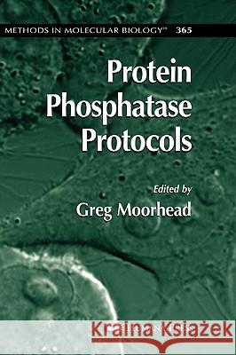 Protein Phosphatase Protocols Greg Moorhead 9781588297112 Humana Press
