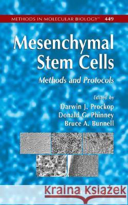 Mesenchymal Stem Cells: Methods and Protocols Prockop, Darwin J. 9781588297716