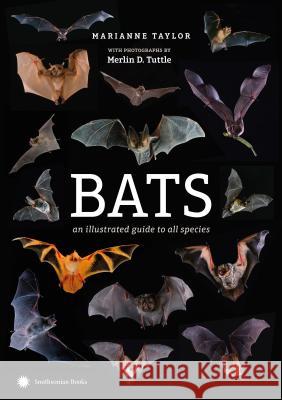 Bats: An Illustrated Guide to All Species Marianne Taylor, Merlin Tuttle 9781588346476 Smithsonian Books