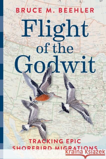 Flight of the Godwit: Tracking Epic Shorebird Migrations Bruce M. Beehler Alan T. Messer 9781588347879 Smithsonian Books