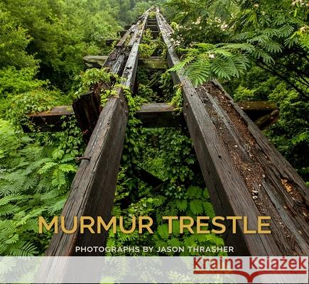 Murmur Trestle Jason Thrasher Patterson Hood Beth Hall Thrasher 9781588385192 NewSouth Books