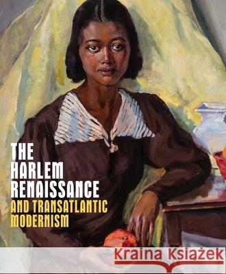 The Harlem Renaissance and Transatlantic Modernism  9781588397737 