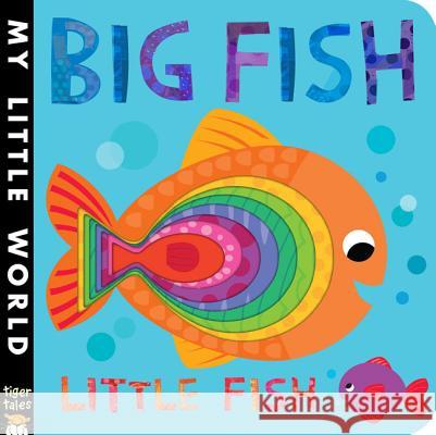 Big Fish Little Fish Jonathan Litton Fhiona Galloway 9781589252158 Tiger Tales