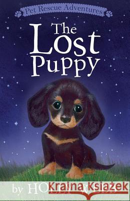 The Lost Puppy Holly Webb Sophy Williams 9781589254916 