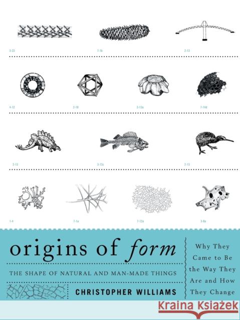 Origins of Form: The Shape of Natural and Man-Made Things--Why They Came to Be the Way They Are and How They Change Williams, Christopher 9781589798083