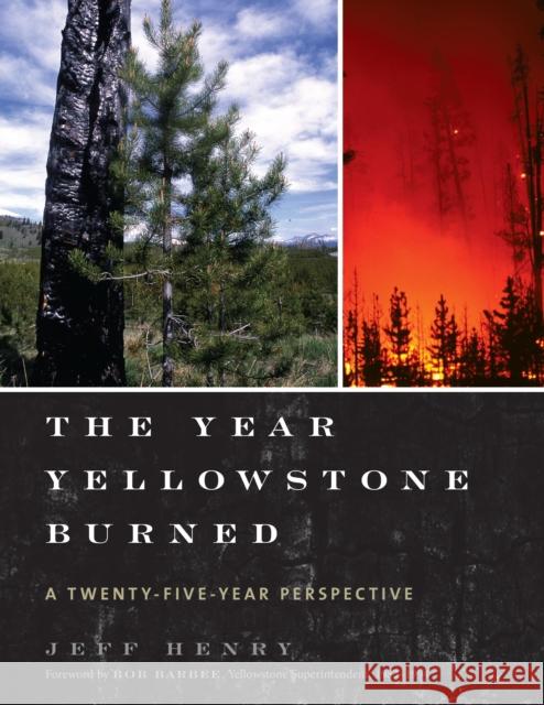 The Year Yellowstone Burned: A Twenty-Five-Year Perspective Henry, Jeff 9781589799035 Taylor Trade Publishing