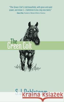 The Green Colt: The Adventures of Wilder Good #4 S. J. Dahlstrom 9781589881143 Paul Dry Books