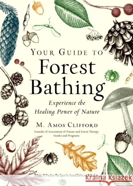 Your Guide to Forest Bathing (Expanded Edition): Experience the Healing Power of Nature Includes 50 Practices Plus Space for Journal Entries and Reflections M. Amos (M. Amos Clifford) Clifford 9781590035139 Red Wheel