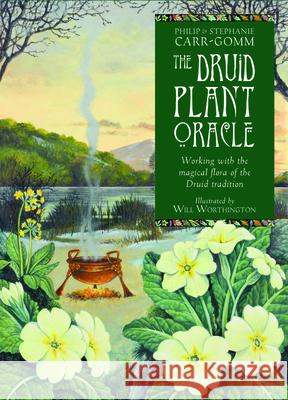 The Druid Plant Oracle: Working with the Magical Flora of the Druid Tradition [With Booklet] Carr-Gomm, Philip 9781590035191 Red Wheel