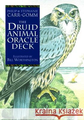 The Druid Animal Oracle Deck Philip Carr-Gomm Stephanie Carr-Gomm Will Worthington 9781590035238 Red Wheel