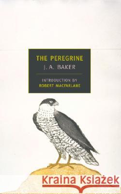 The Peregrine J.A Baker 9781590171332 0