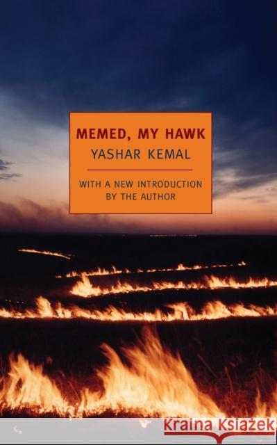 Memed, My Hawk Yashar Kemal Edouard Roditi 9781590171394 The New York Review of Books, Inc