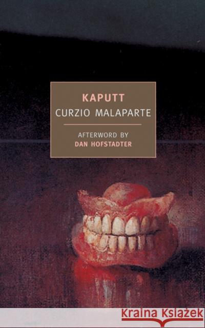 Kaputt Curzio Malaparte 9781590171479