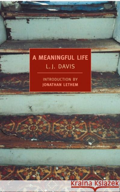 A Meaningful Life L. J. Davis Jonathan Lethem 9781590173008 The New York Review of Books, Inc