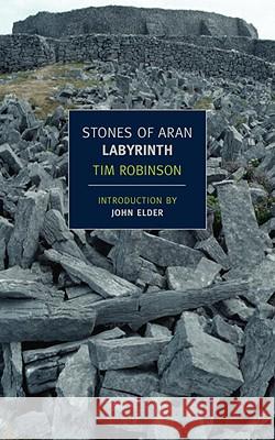 Stones of Aran: Labyrinth Tim Robinson 9781590173145 New York Review of Books
