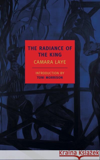 The Radiance Of The King Camara Lays 9781590174555 New York Review of Books