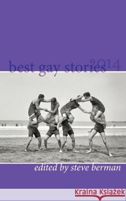Best Gay Stories 2014 Steve Berman 9781590215029 Lethe Press