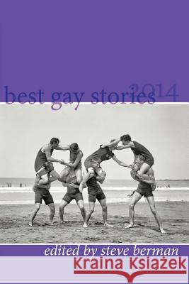 Best Gay Stories 2014 Steve Berman 9781590215050 Lethe Press