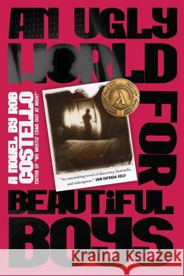 An Ugly World for Beautiful Boys Rob Costello 9781590217962