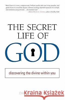 The Secret Life of God: Discovering the Divine within You Aaron, David 9781590302392 Shambhala Publications