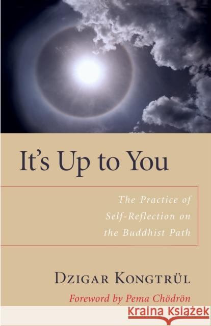 It's Up to You: The Practice of Self-Reflection on the Buddhist Path Dzigar Kongtrul Pema Chodron Matthieu Ricard 9781590303818 Shambhala Publications