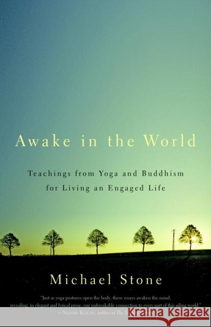 Awake in the World: Teachings from Yoga and Buddhism for Living an Engaged Life Michael Stone 9781590308141