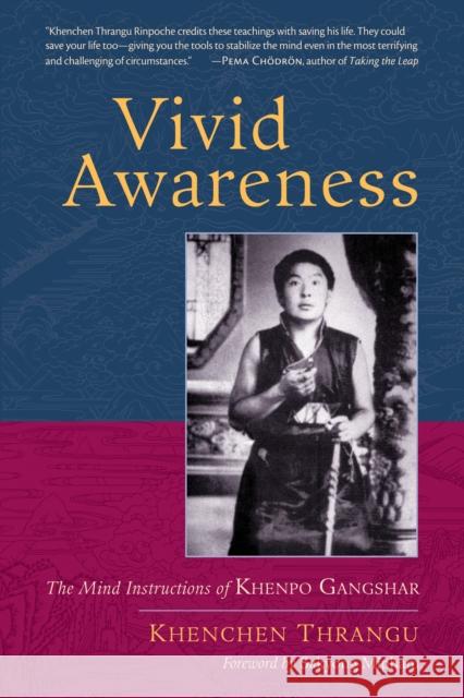 Vivid Awareness: The Mind Instructions of Khenpo Gangshar Khenchen Thrangu Sakyong Mipham 9781590308165 Shambhala Publications