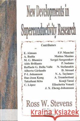New Developments in Superconductivity Research Ross W Stevens 9781590338629 Nova Science Publishers Inc