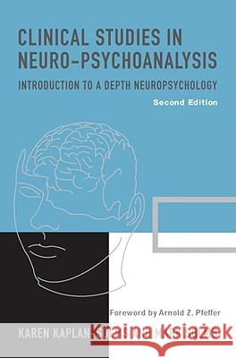 Clinical Studies in Neuro-Psychoanalysis Karen Kaplan-Solms Mark Solms 9781590510261 Karnac Books