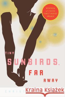 Tiny Sunbirds, Far Away Christie Watson 9781590514665 Other Press