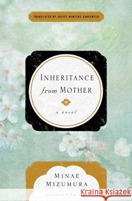 Inheritance From Mother Minae Mizumura 9781590519851