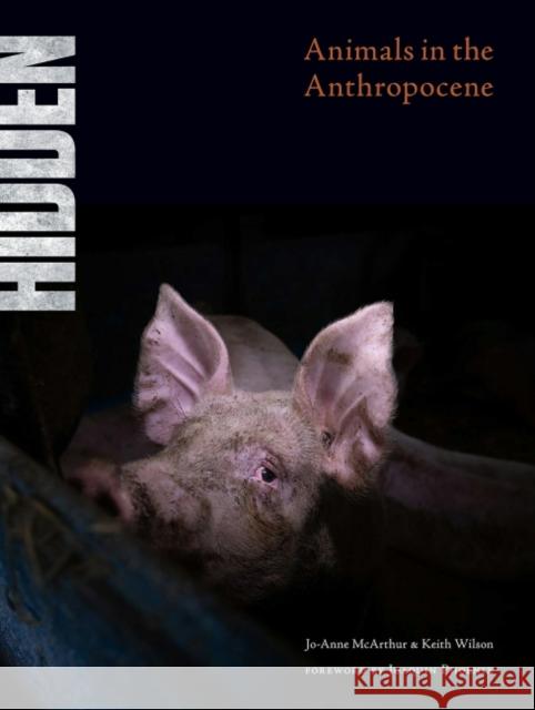 Hidden: Animals in the Anthropocene Jo-Anne McArthur Keith Wilson 9781590566381 Lantern Publishing & Media