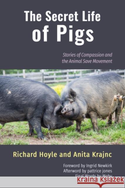 The Secret Life of Pigs: Stories of Compassion and the Animal Save Movement Richard Hoyle Anita Krajnc 9781590566664 Lantern Publishing & Media