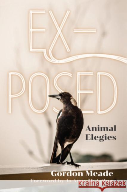 Ex-Posed: Animal Elegies Gordon Meade Jo-Anne McArthur 9781590566763