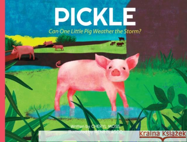 Pickle: Can One Little Pig Weather the Storm? Cheryl Moss Irene Blasco 9781590567128 Lantern Publishing & Media