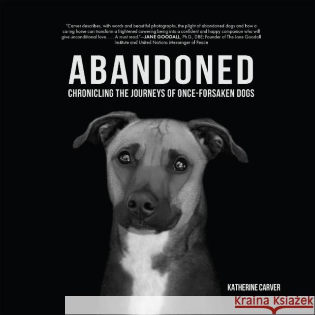 Abandoned: Chronicling the Journeys of Once-Forsaken Dogs Katherine Carver Francis Battista Deborah Samuel 9781590567302