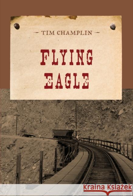 Flying Eagle Tim Champlin 9781590772270 M. Evans and Company