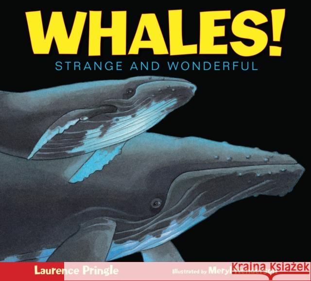 Whales!: Strange and Wonderful Laurence Pringle Meryl Henderson 9781590789179 Boyds Mills Press