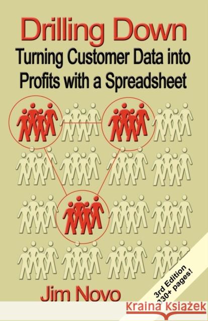 Drilling Down: Turning Customer Data into Profits with a Spreadsheet - Third Edition Novo, Jim 9781591135197 Booklocker.com