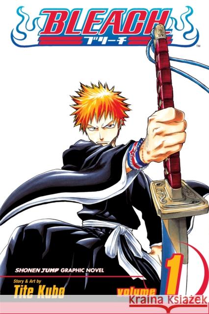 Bleach, Vol. 1: Strawberry and the Soul Reapers Tite Kubo 9781591164418 Viz Media, Subs. of Shogakukan Inc