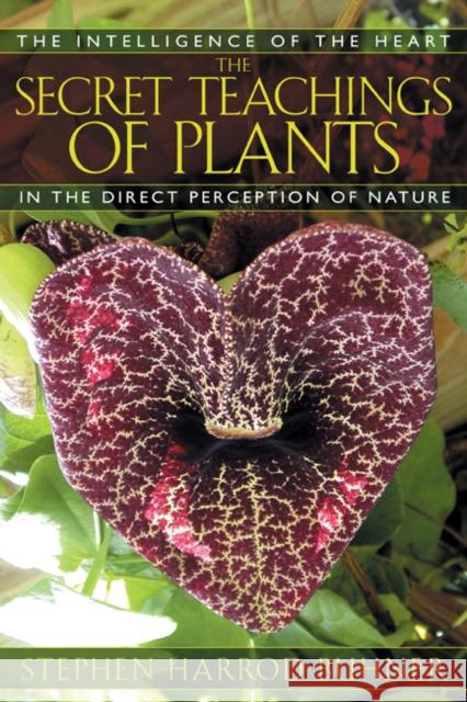 The Secret Teachings of Plants: The Intelligence of the Heart in the Direct Perception of Nature Buhner, Stephen Harrod 9781591430353 Inner Traditions Bear and Company