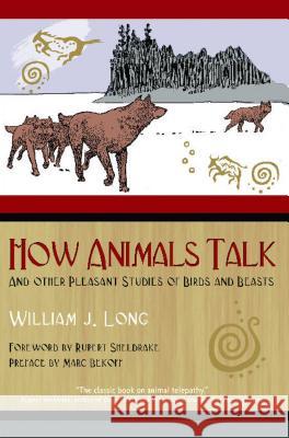 How Animals Talk: And Other Pleasant Studies of Birds and Beasts William J. Long Charles Copeland 9781591430568 Bear & Company