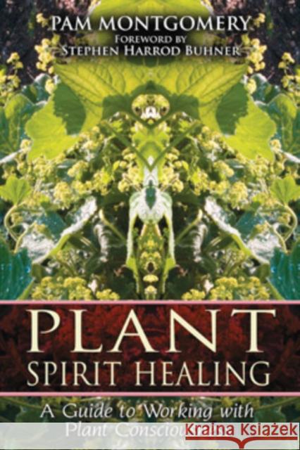 Plant Spirit Healing: A Guide to Working with Plant Consciousness Montgomery, Pam 9781591430773 Inner Traditions Bear and Company