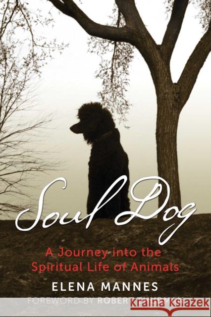 Soul Dog: A Journey into the Spiritual Life of Animals Elena Mannes 9781591433262 Bear & Company