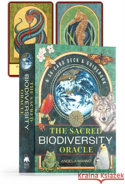 The Sacred Biodiversity Oracle: A 36-Card Deck and Guidebook Angela Manno 9781591435037 Bear & Company