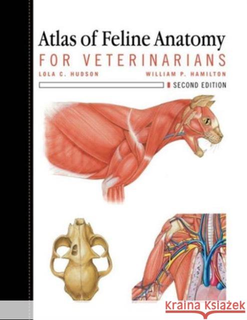 Atlas of Feline Anatomy: For Veterinarians Hudson, Lola 9781591610441 Teton NewMedia