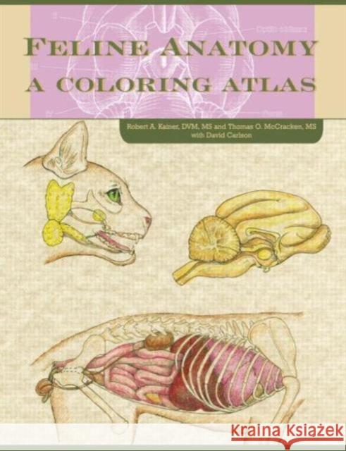 Feline Anatomy: A Coloring Atlas McCraken, Thomas O. 9781591610458 Teton NewMedia